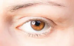 Adobe Stocke Alessandro Grandini #202055900